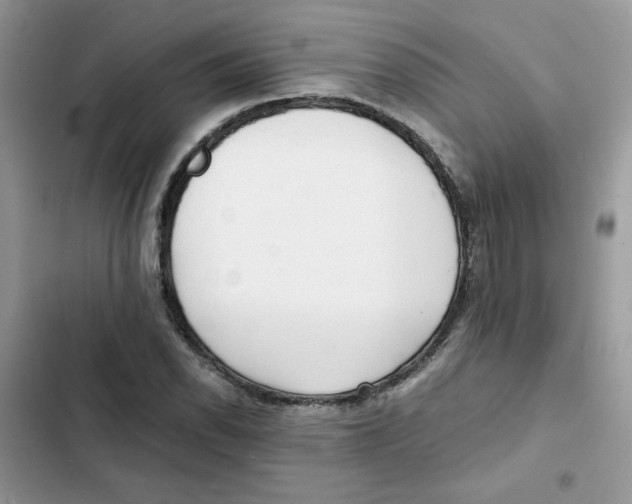 X0000101951118200808151246