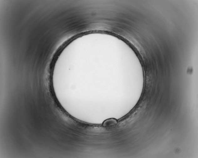 X0000101951119200808151246