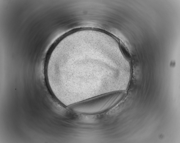 X0000101951120200808151246