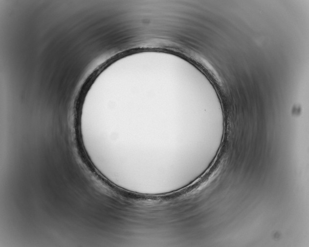 X0000101951122200808151247