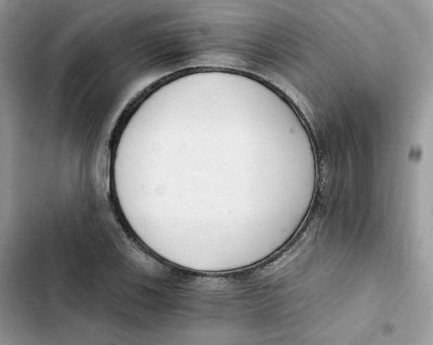 X0000101951123200808151247