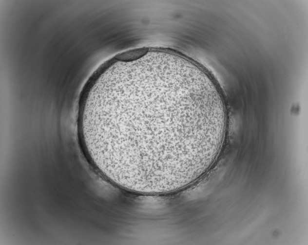 X0000101951124200808151247