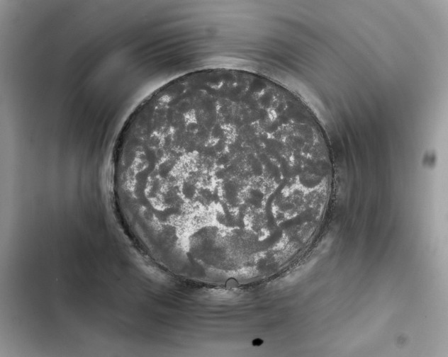 X0000101951125200808151247