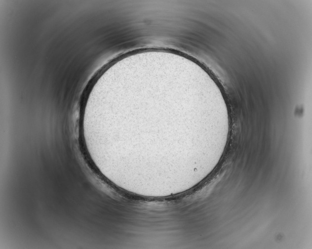 X0000101951126200808151247
