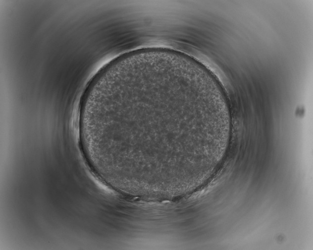 X0000101951127200808151247