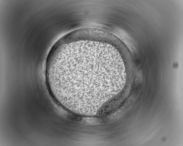 X0000101951128200808151247