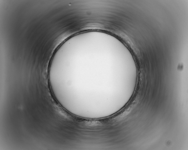X0000101951129200808151247