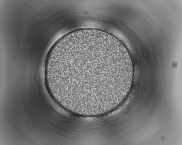 X0000101951130200808151247