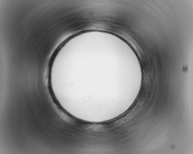 X0000101951131200808151247