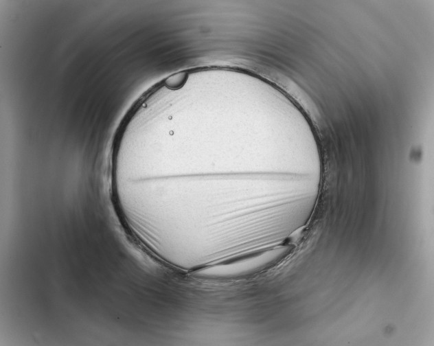 X0000101951132200808151247