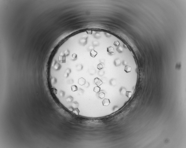 X0000101951133200808151247