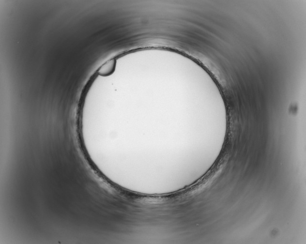 X0000101951134200808151247