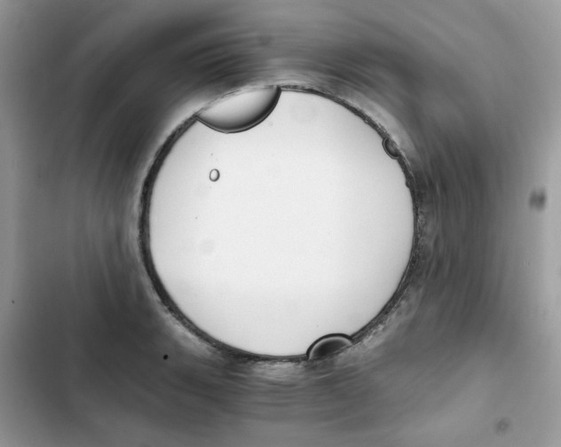 X0000101951135200808151247