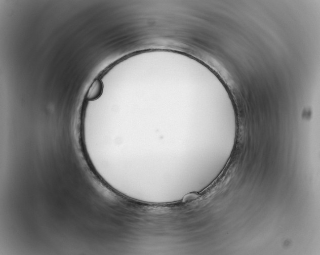 X0000101951136200808151247