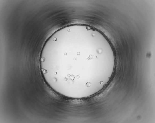 X0000101951137200808151247