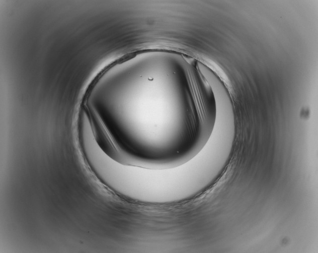 X0000101951138200808151247