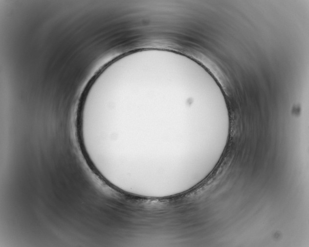 X0000101951139200808151247