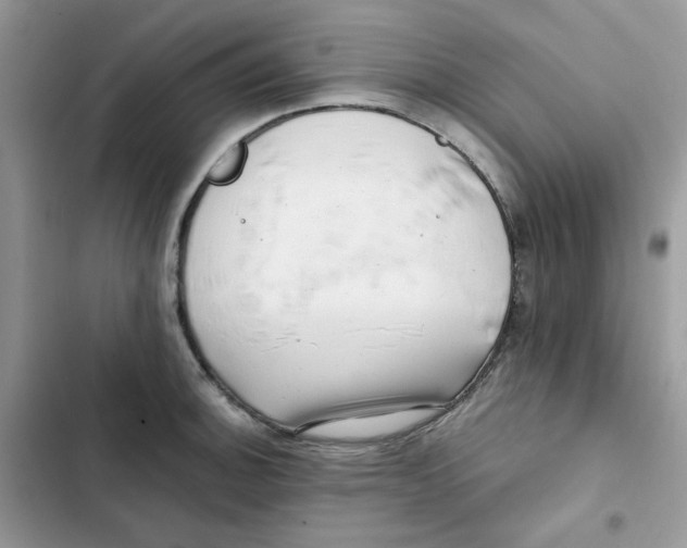 X0000101951140200808151247