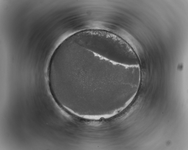 X0000101951141200808151247