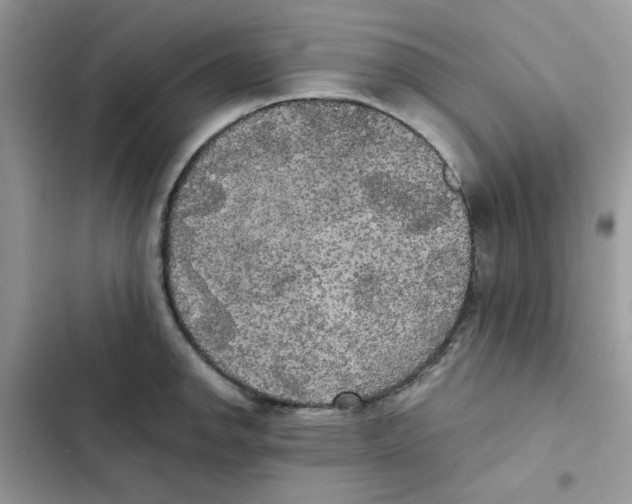 X0000101951142200808151247