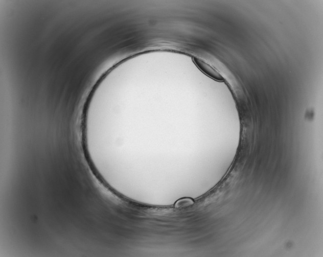 X0000101951143200808151247