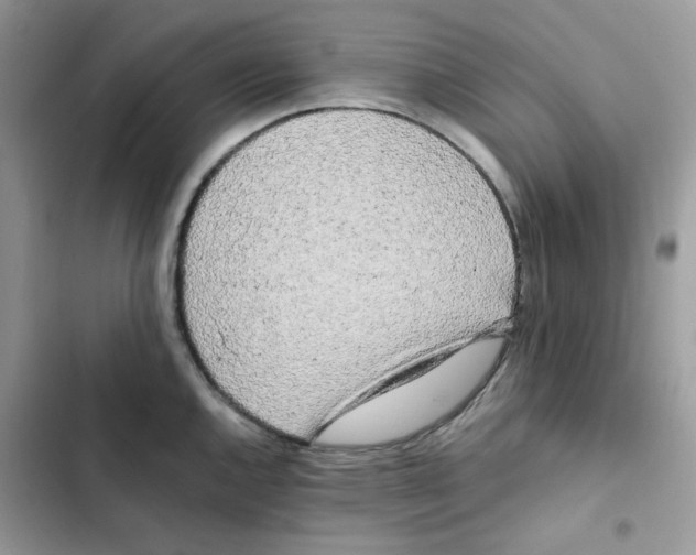 X0000101951144200808151247