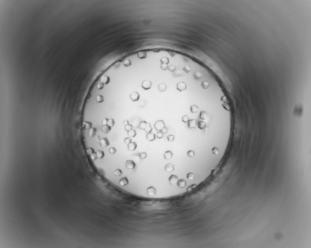 X0000101951145200808151247
