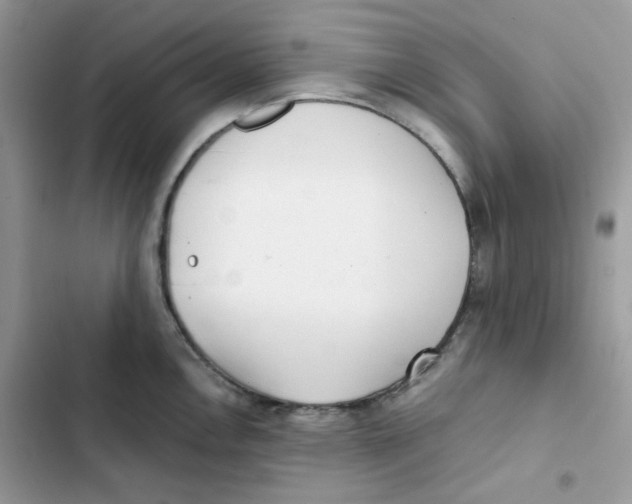 X0000101951146200808151247