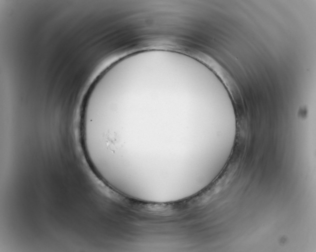 X0000101951147200808151247