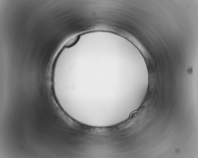 X0000101951148200808151247