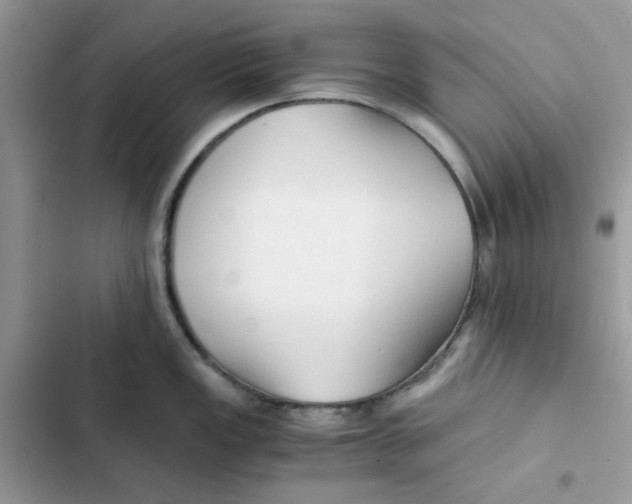X0000101951149200808151247