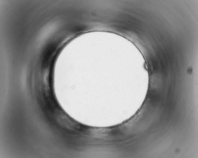 X0000101951150200808151247