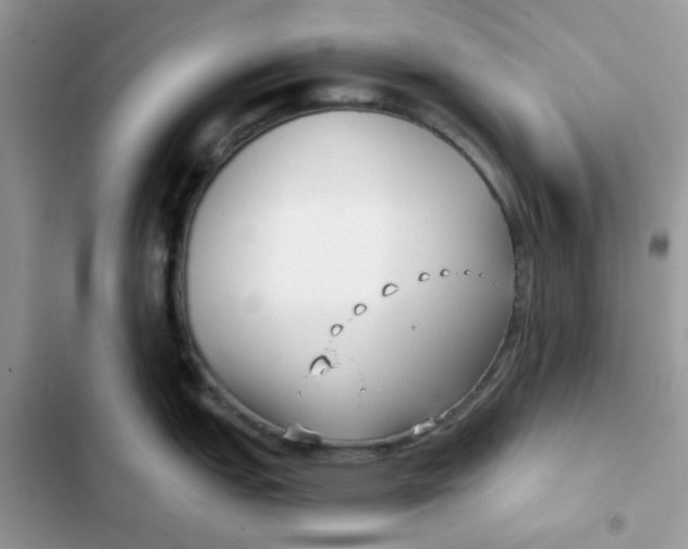 X0000101951151200808151247