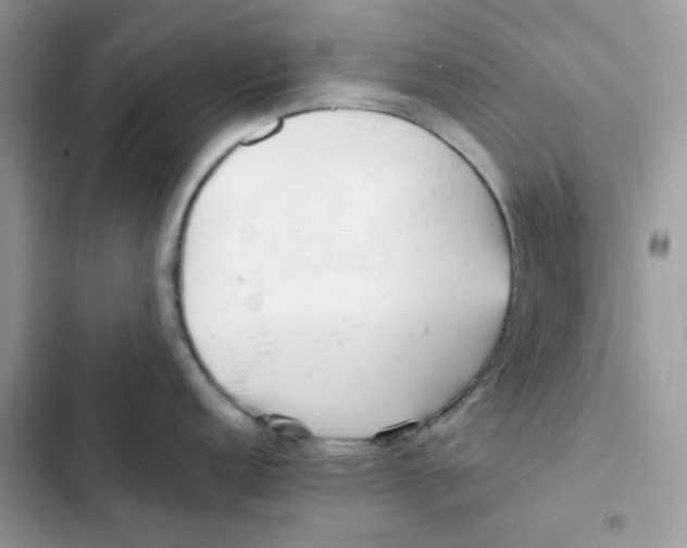 X0000101951152200808151247