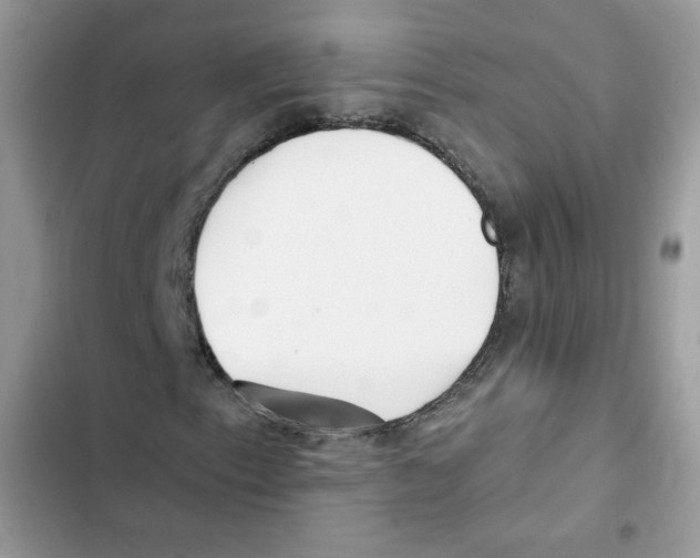 X0000101951153200808151246