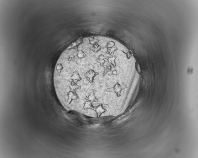 X0000101951154200808151246