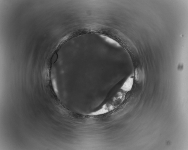 X0000101951155200808151246