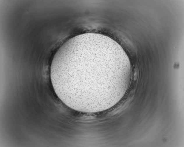 X0000101951156200808151246