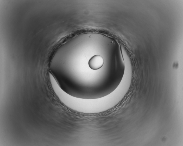X0000101951157200808151246