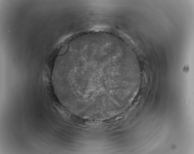 X0000101951158200808151246