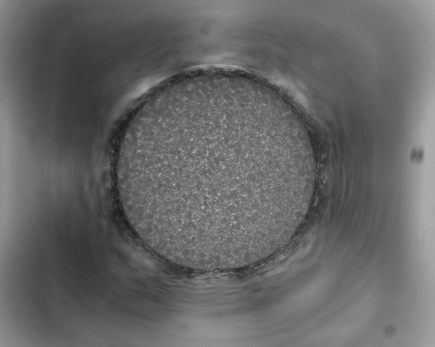 X0000101951159200808151246