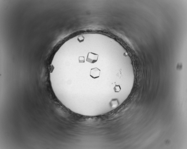 X0000101951160200808151246