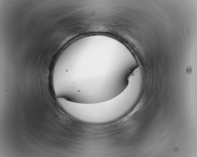 X0000101951161200808151246