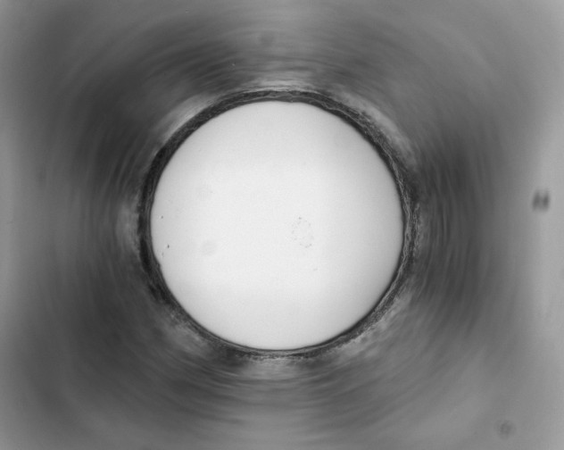 X0000101951162200808151246