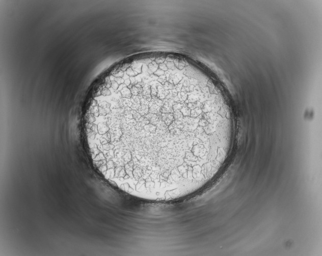 X0000101951163200808151246