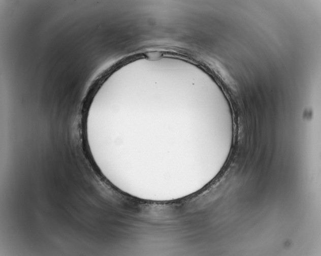 X0000101951164200808151246