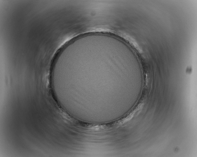 X0000101951165200808151246