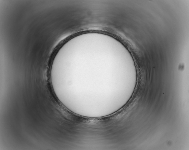 X0000101951166200808151246