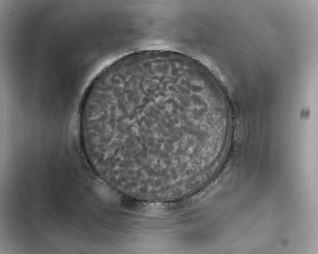 X0000101951167200808151246