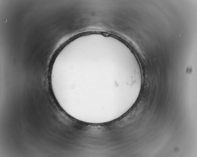 X0000101951168200808151246